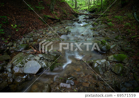 Downstream. Crystal clear water of a mountain stream in the Carpathian forest. Unnamed tributary of the Shypit river, foot of Mt. Bilyi Kamin (1062), Polonynian Beskids, Ukrainian Carpathians Downstream. Crystal clear water of a mountain stream in the Carpathian forest. Unnamed tributary of the Shypit river, foot of Mt. Bilyi Kamin (1062), Polonynian Beskids, Ukrainian Carpathians 69571559