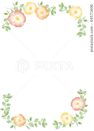 溫柔的罌粟和桉樹框架 溫柔的罌粟和桉樹框架 69571606