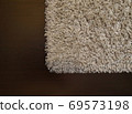 Beige shaggy carpet on wenge floor 69573198