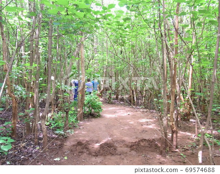 利隆圭野生動物中心(馬拉維) 利隆圭野生動物中心(馬拉維) 69574688