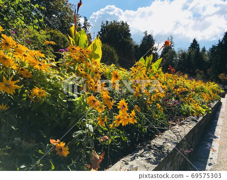 Vancouver flowers 69575303