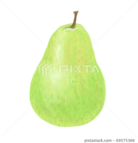 西洋梨與厚塗風格的插圖 西洋梨與厚塗風格的插圖 69575366