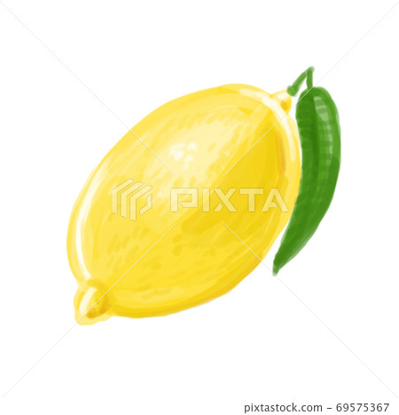 Lemon with thick-painted illustration Lemon with thick-painted illustration 69575367