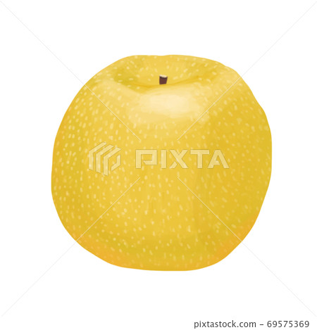 Thick-painted illustration pear 69575369