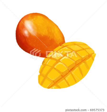 厚塗插圖芒果 厚塗插圖芒果 69575373