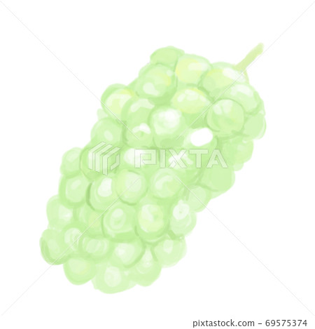 馬斯喀特的厚塗風格插圖 馬斯喀特的厚塗風格插圖 69575374