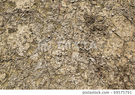 concept background of nature dry concept background of nature dry 69575791