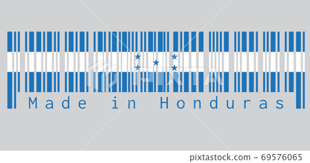 flag with five blue stars