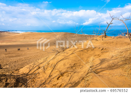Tottori sand dunes Tottori sand dunes 69576552