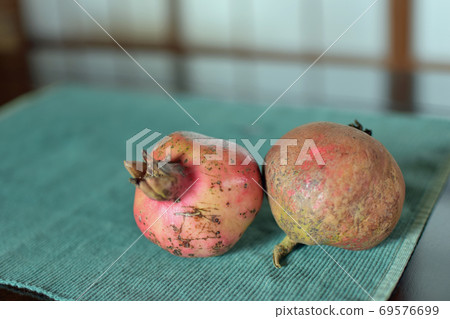 pomegranate pomegranate 69576699