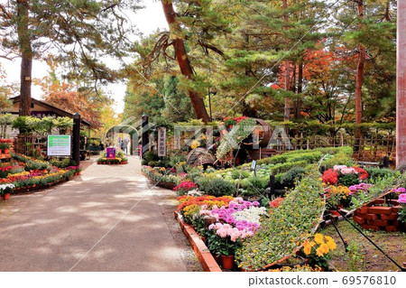 弘前城堡植物園菊花節 弘前城堡植物園菊花節 69576810