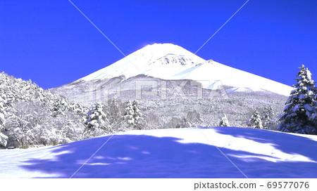 嚴冬,海平富士降雪早晨(水塚公園)靜岡縣 嚴冬,海平富士降雪早晨(水塚公園)靜岡縣 69577076
