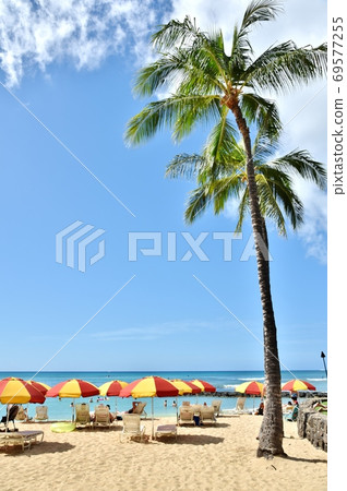 Holidays in Hawaii Holidays in Hawaii 69577255