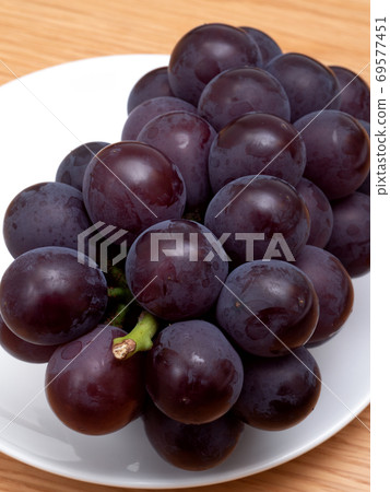 葡萄藤稔 69577451