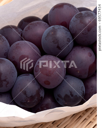 Grape Fujiminori 69577454