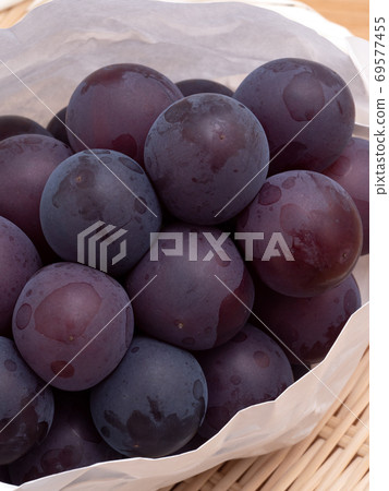 Grape Fujiminori 69577455