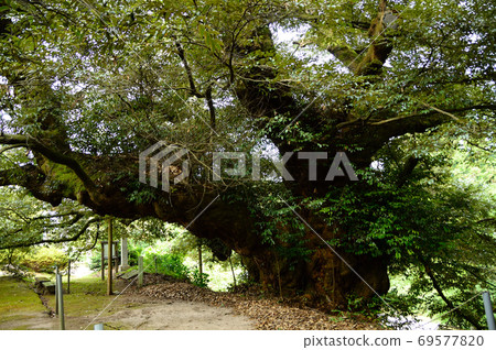 Hakui's big shi 69577820