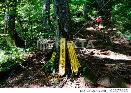 Amekayama小谷溫泉路線山毛櫸平 Amekayama小谷溫泉路線山毛櫸平 69577965