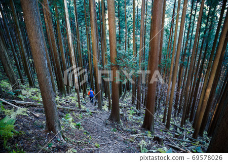 Bonooreyama, a man going down a steep slope Bonooreyama, a man going down a steep slope 69578026
