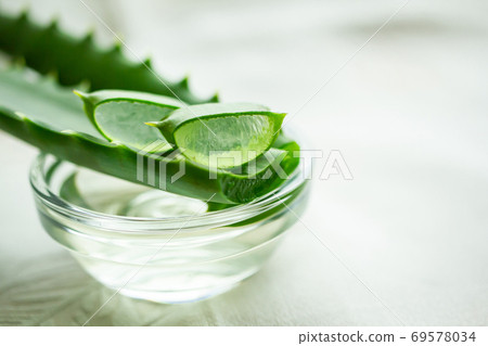 蘆薈化妝品有機化妝品的形象 蘆薈化妝品有機化妝品的形象 69578034