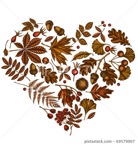Heart design with colored fern, dog rose, rowan, ginkgo, maple, oak, horse chestnut, chestnut Heart design with colored fern, dog rose, rowan, ginkgo, maple, oak, horse chestnut, chestnut 69579907