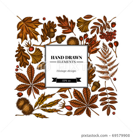 Square design with colored fern, dog rose, rowan, ginkgo, maple, oak, horse chestnut, chestnut Square design with colored fern, dog rose, rowan, ginkgo, maple, oak, horse chestnut, chestnut 69579908