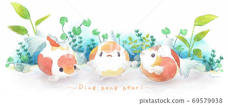 Three goldfish 69579938