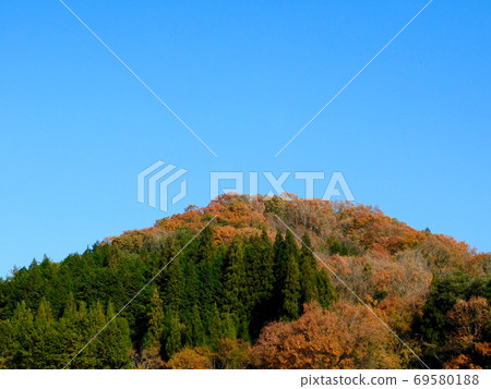 能山會空溫泉附近的秋葉 能山會空溫泉附近的秋葉 69580188