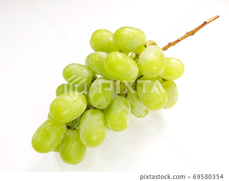 閃亮馬斯喀特葡萄葡萄 69580354