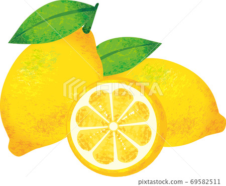 Lemon watercolor oil painting style 69582511