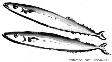 pacific saury with good freshness 3 pacific saury with good freshness 3 69582610