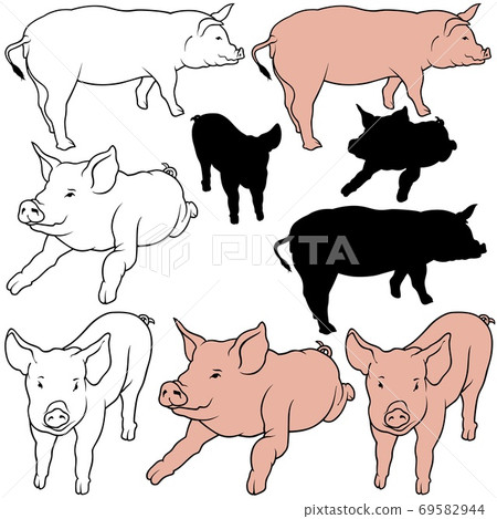 Pig Collection 69582944