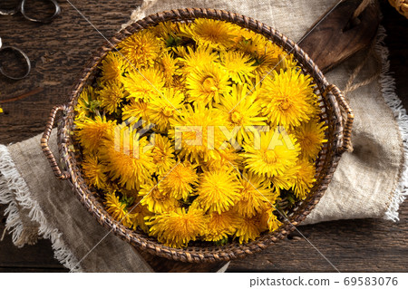 Dandelion flowers in a basket on a table Dandelion flowers in a basket on a table 69583076