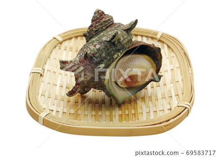 Sazae_15(具有剪切路徑) Sazae_15(具有剪切路徑) 69583717