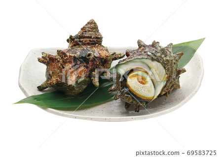 Sazae_11(具有剪切路徑) Sazae_11(具有剪切路徑) 69583725