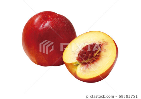 Nectarine_12 (with cutout path) Nectarine_12 (with cutout path) 69583751