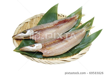 Barracuda opening_08 (with cutout path) 69583826