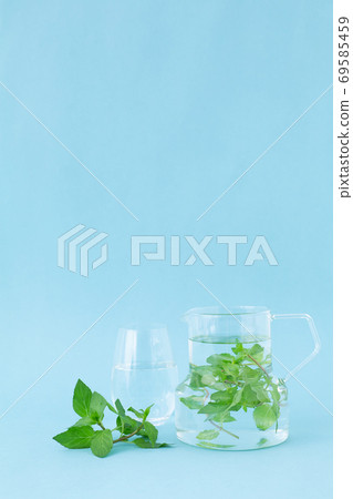 Peppermint herbal tea 69585459