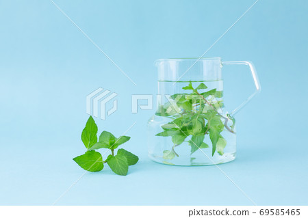 Peppermint herbal tea 69585465