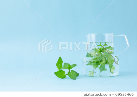 Peppermint herbal tea 69585466