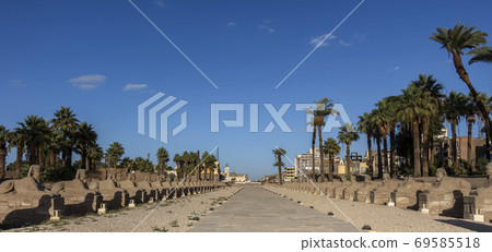 Luxor Temple Sphinxes is an avenue of Sphinxes connecting Luxor Temple and Karnak Luxor Temple Sphinxes is an avenue of Sphinxes connecting Luxor Temple and Karnak 69585518