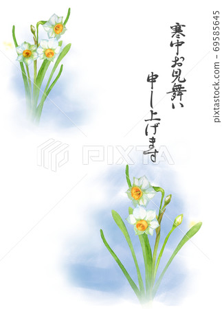 Postcard for narcissus cold weather 69585645