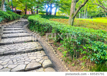 Park lawn and stairs Park lawn and stairs 69585791