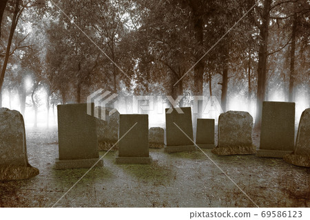 Tombstones on the graveyard in the forest Tombstones on the graveyard in the forest 69586123