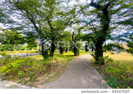 Park surrounded by trees 69587087
