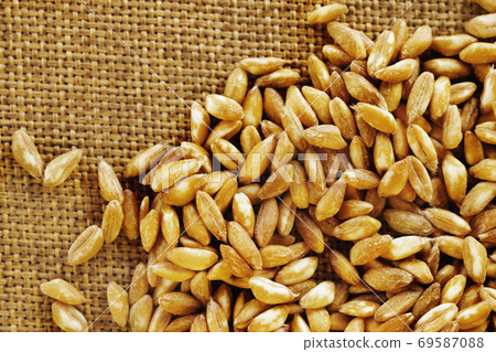 Spelt of grains  69587088