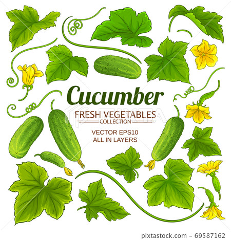 cucumber elements set 69587162