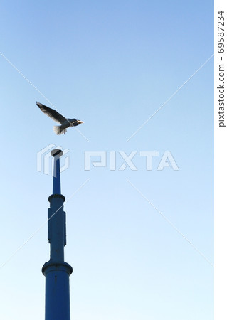 新橋 新橋 69587234