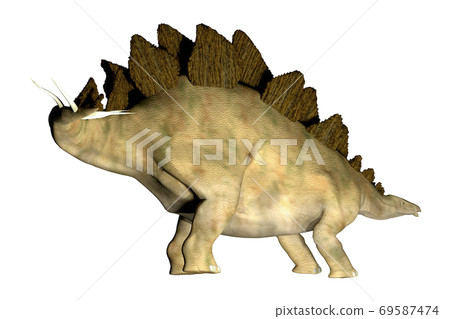 Stegosaur ☆ Stegosaur Stegosaur ☆ Stegosaur 69587474
