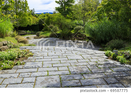 淡路景觀園藝學校秋花 淡路景觀園藝學校秋花 69587775